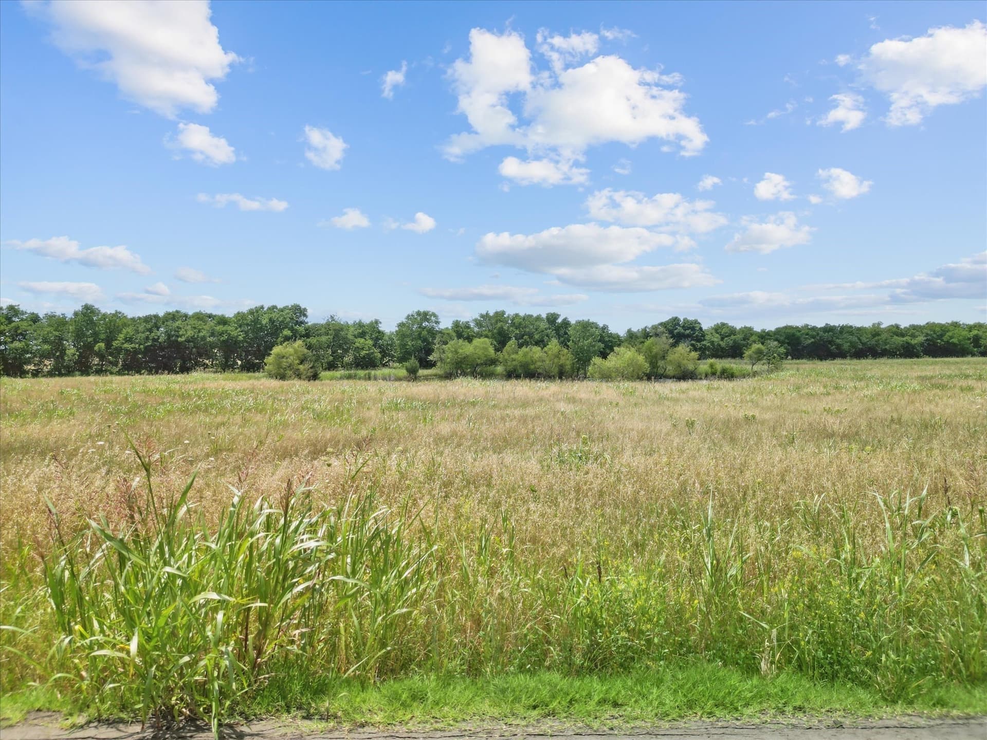 1.7 acres in Hunt County - photo 15