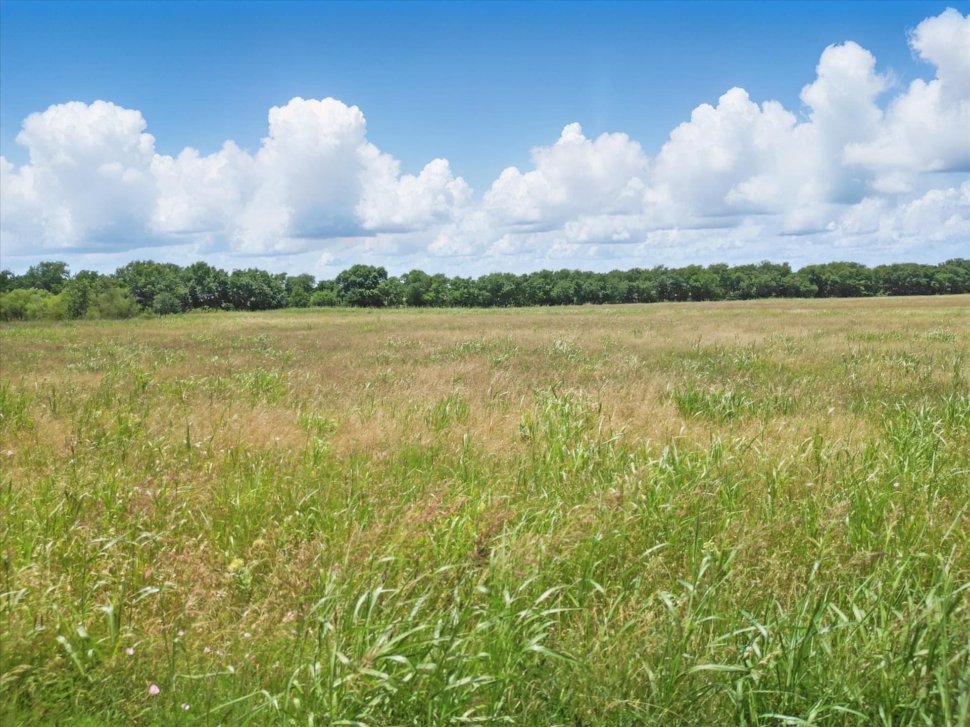 1.7 acres in Hunt County - photo 18