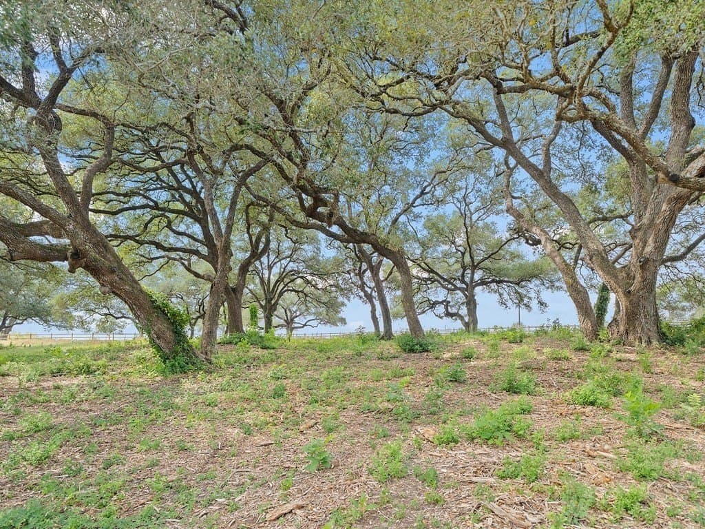 30 acres in Fayette County - photo 16