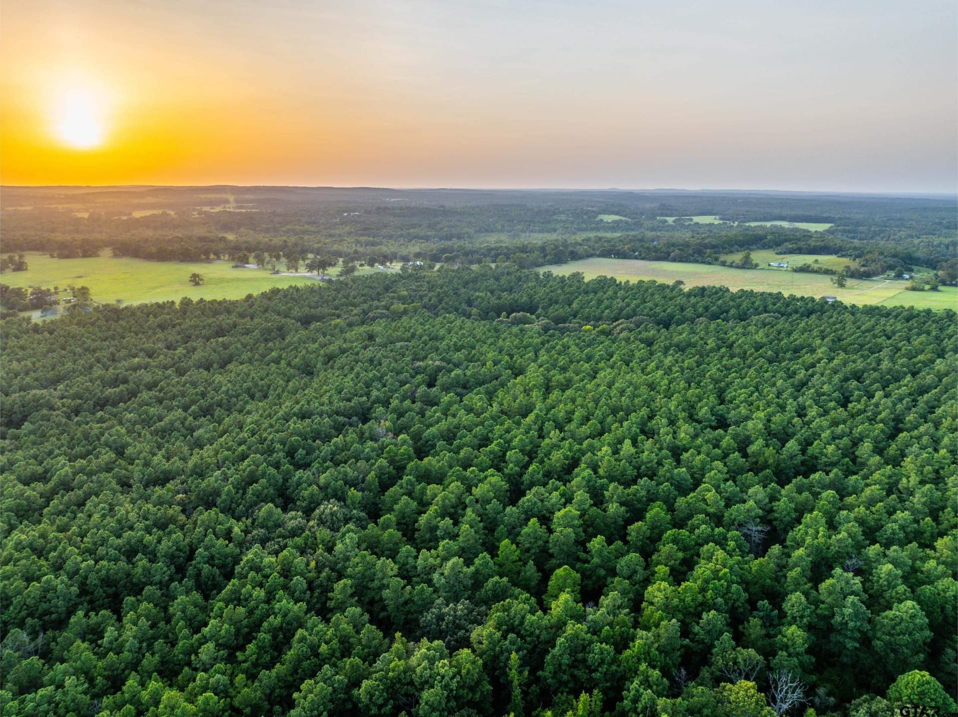 90.8 acres in Henderson County - photo 19