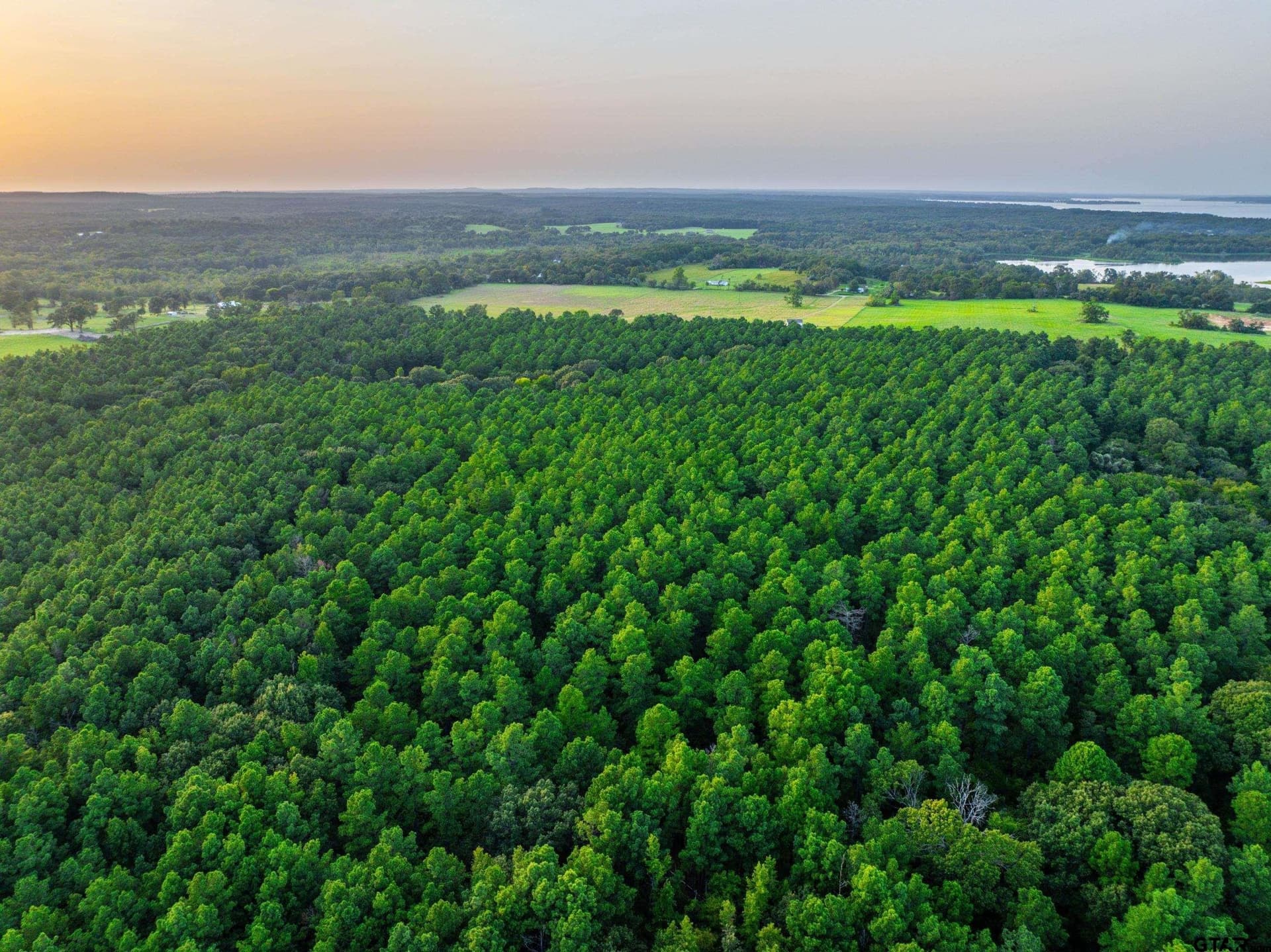 90.8 acres in Henderson County - photo 20