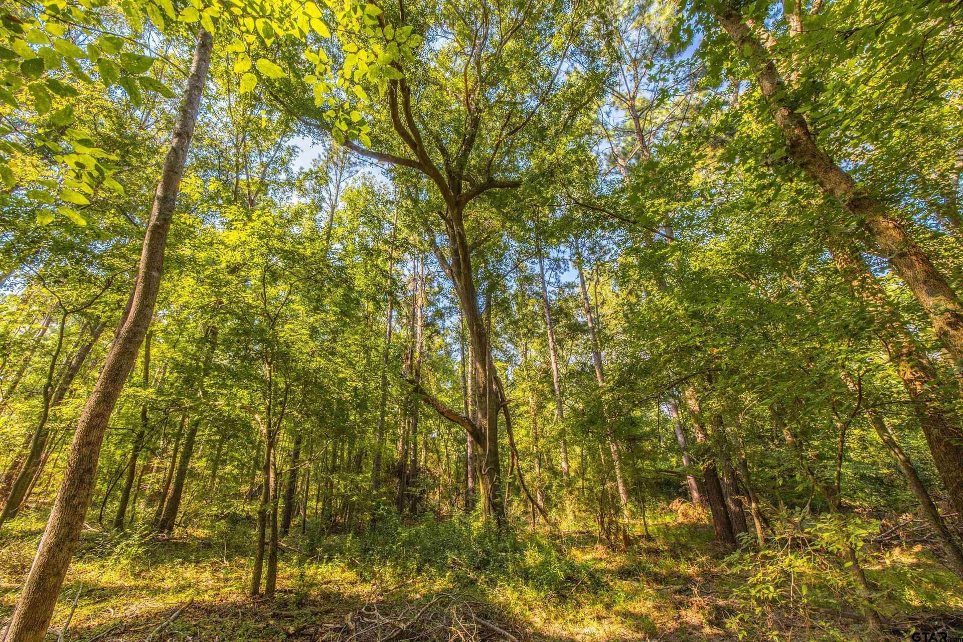 90.8 acres in Henderson County - photo 13