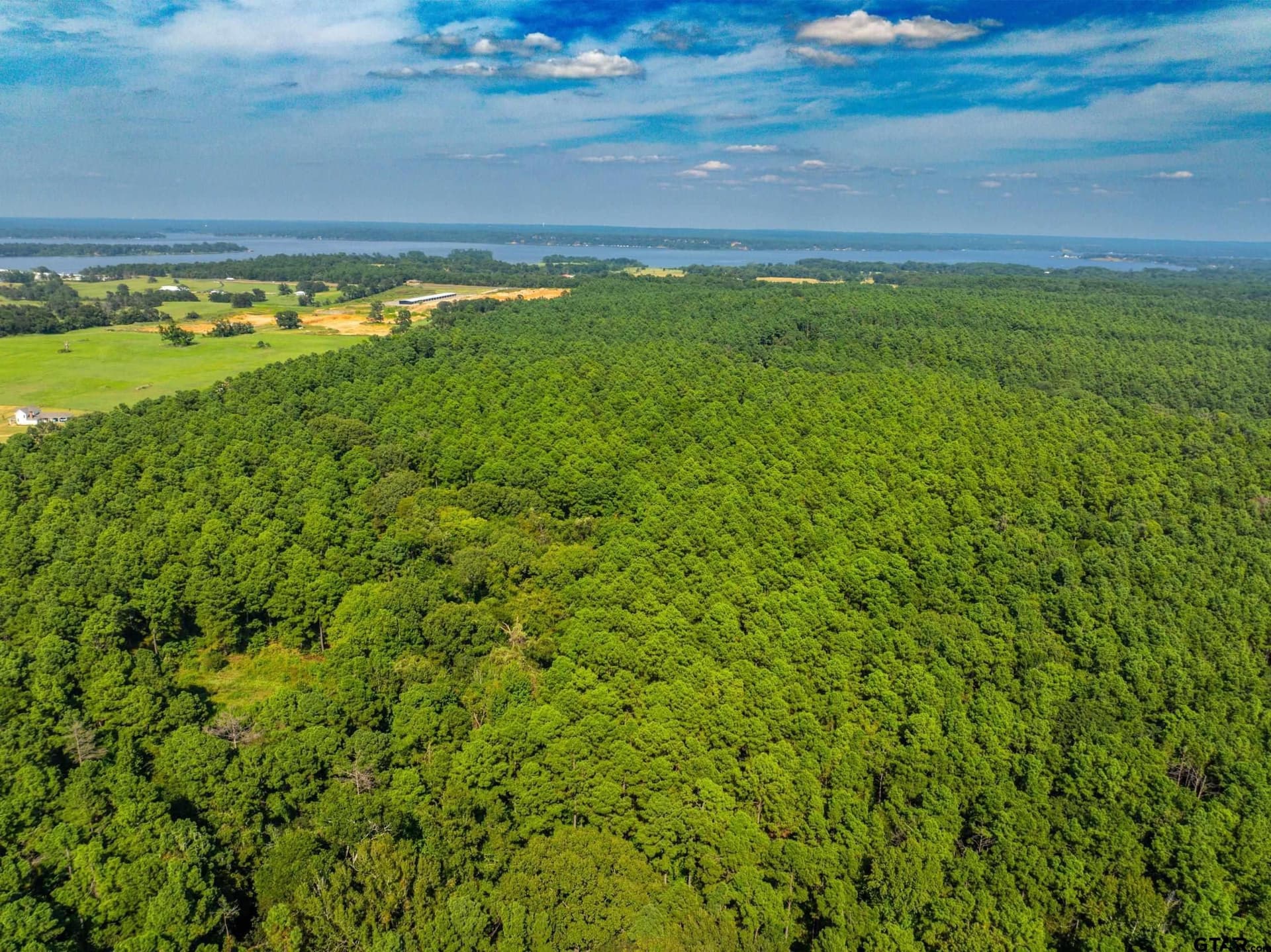 90.8 acres in Henderson County - photo 17