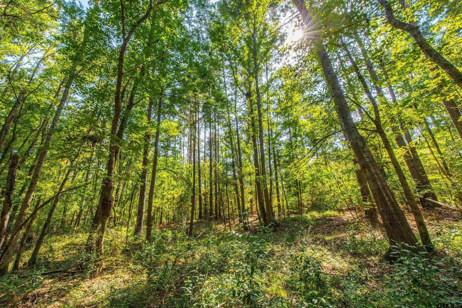 90.8 acres in Henderson County - photo 10