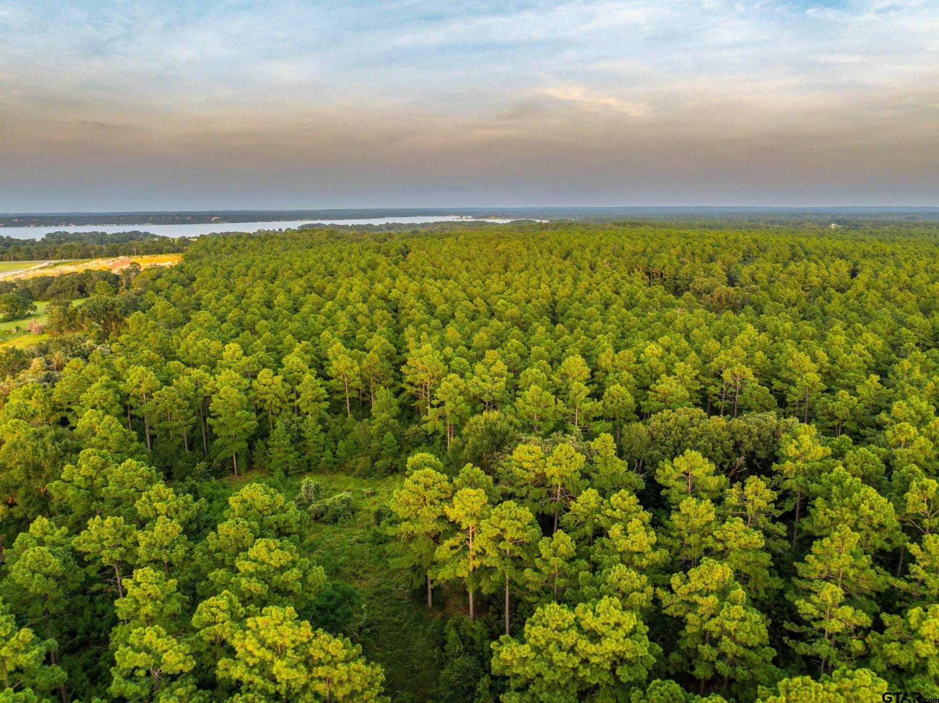 90.8 acres in Henderson County - photo 2