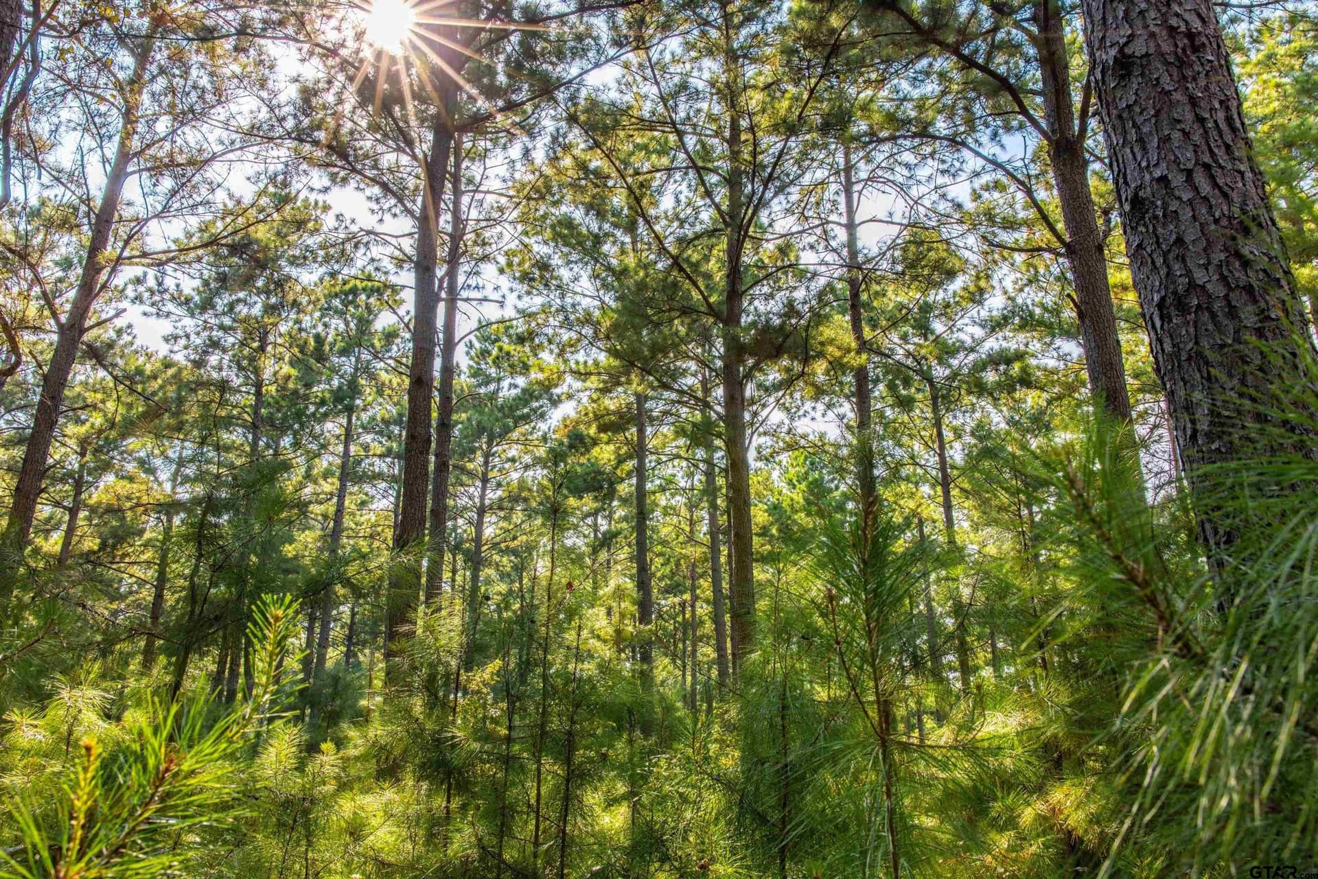 90.8 acres in Henderson County