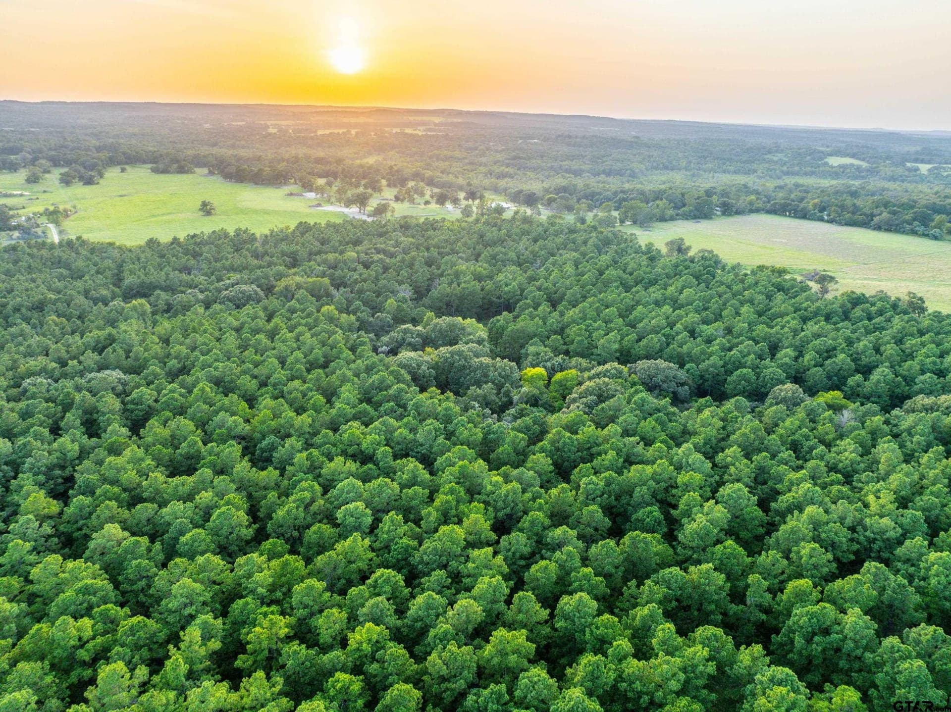 90.8 acres in Henderson County - photo 21
