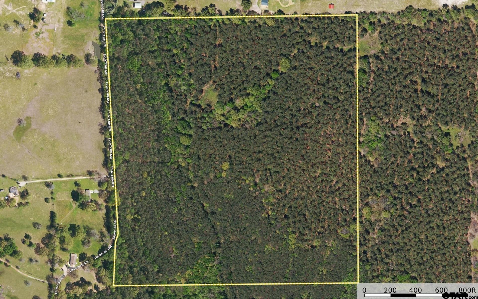 90.8 acres in Henderson County - photo 23
