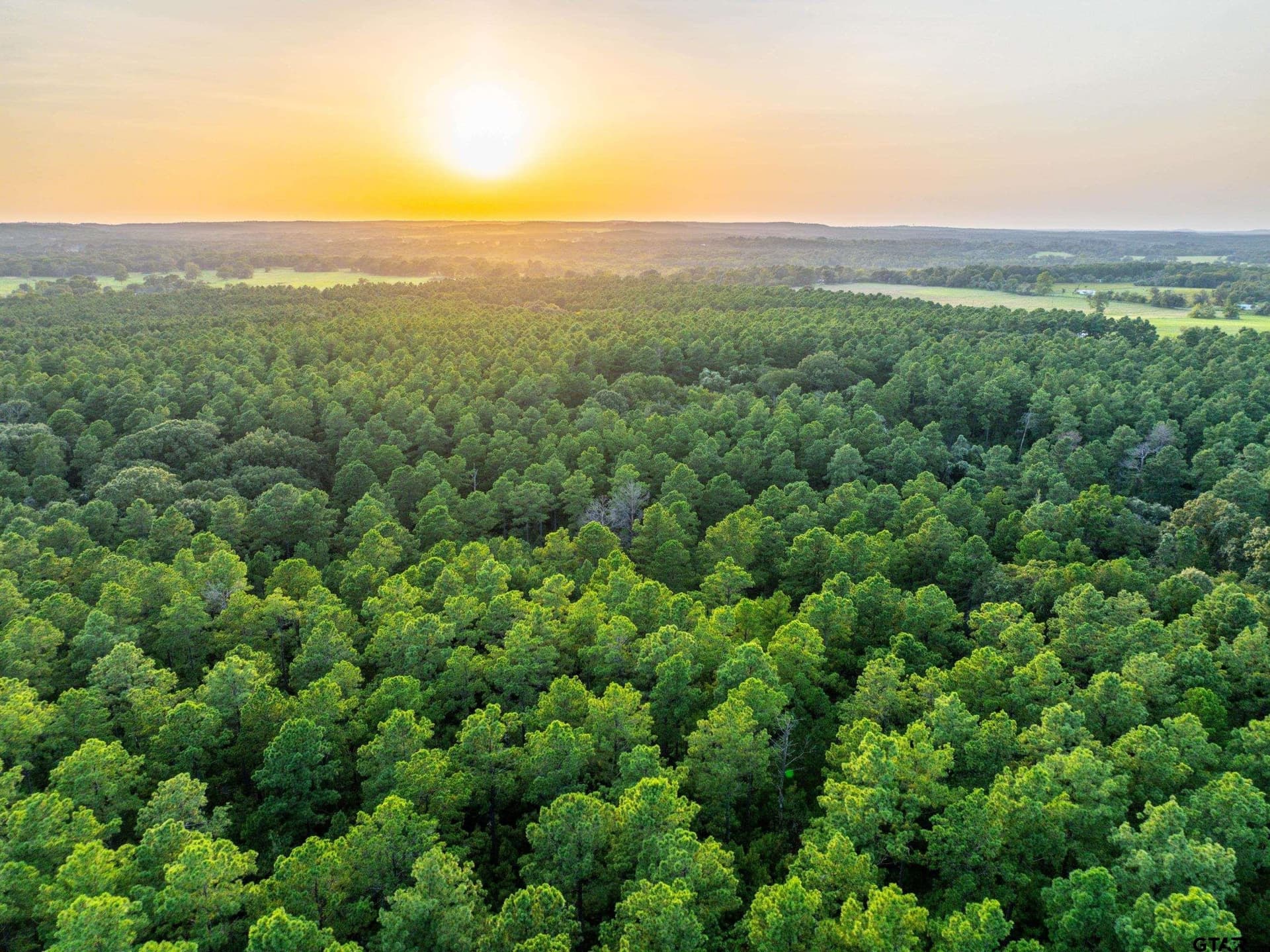 90.8 acres in Henderson County - photo 18
