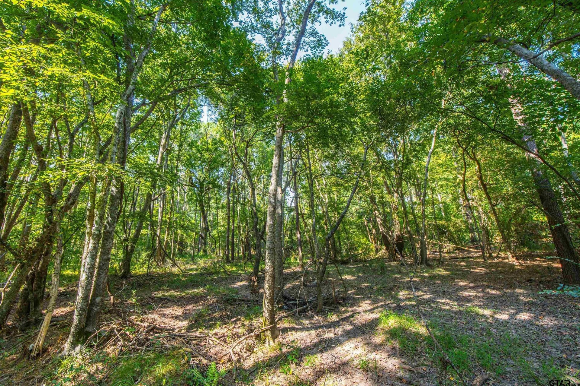 90.8 acres in Henderson County - photo 12