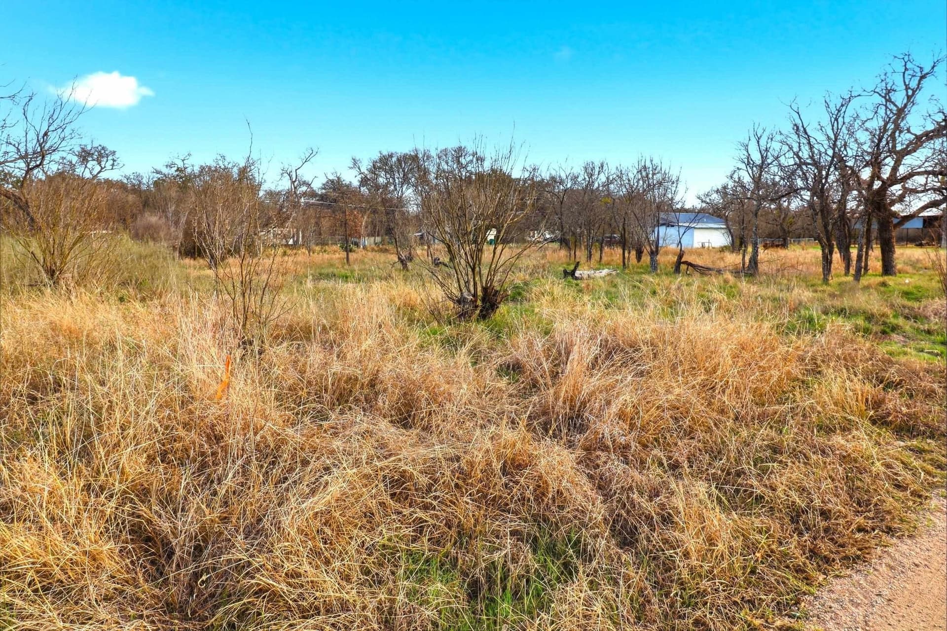 0.33 acres in Burnet County gallery image 3