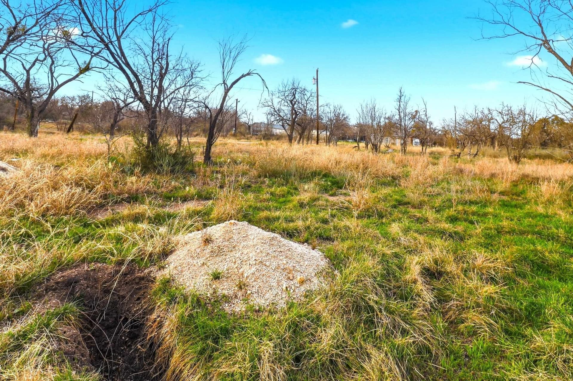 0.33 acres in Burnet County - photo 9