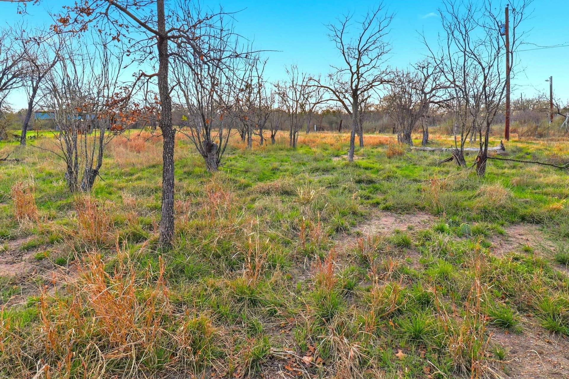 0.33 acres in Burnet County featured view