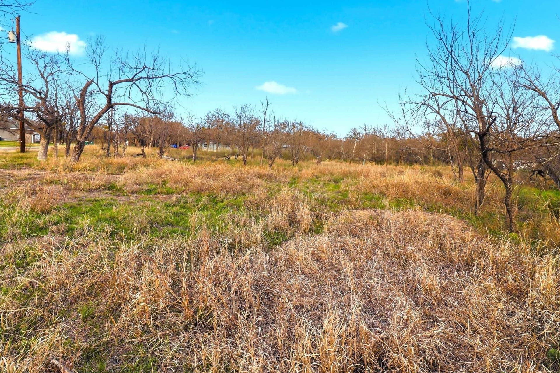 0.33 acres in Burnet County - photo 7
