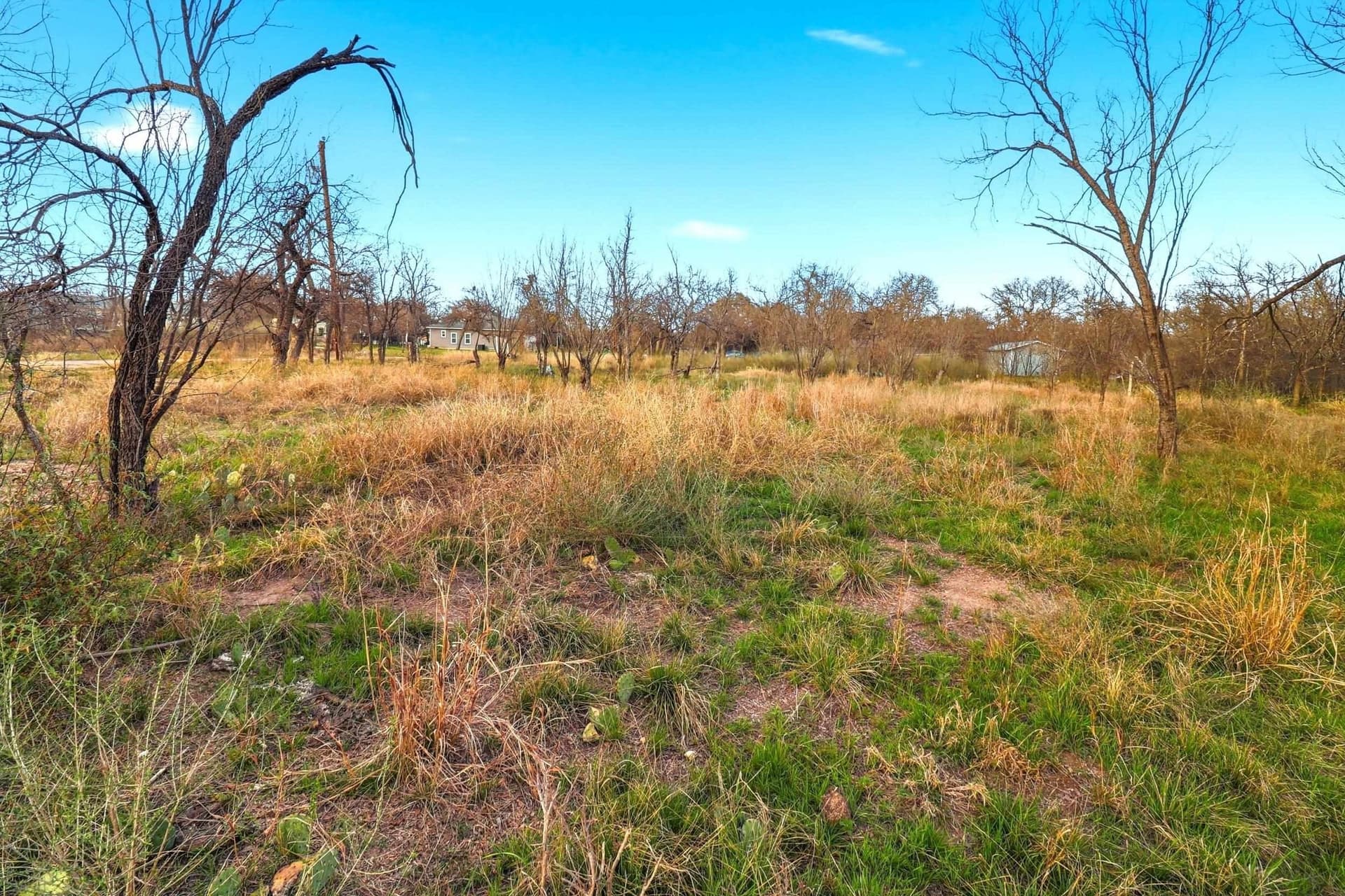 0.33 acres in Burnet County - photo 8