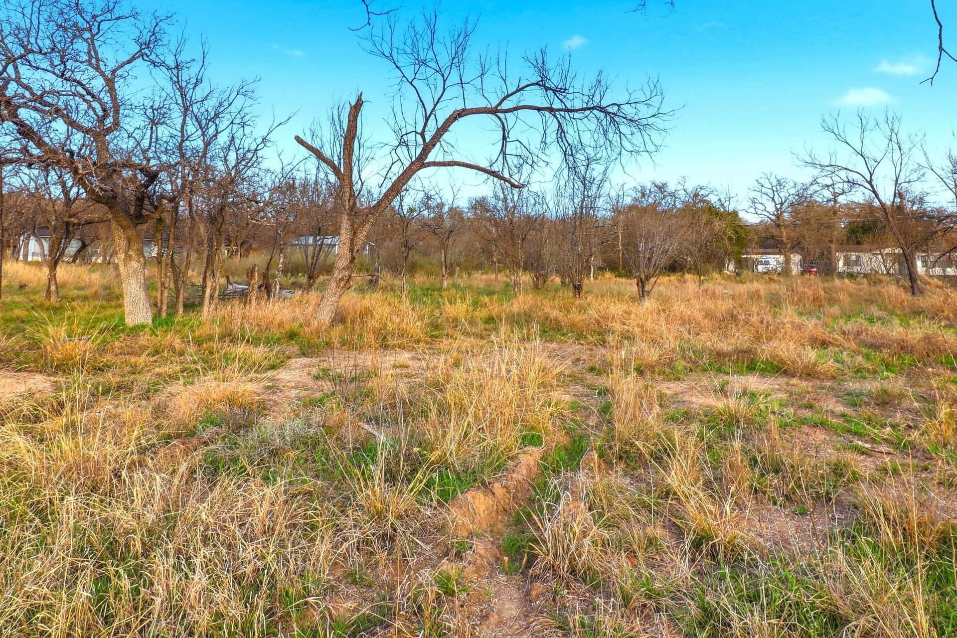 0.33 acres in Burnet County - photo 6