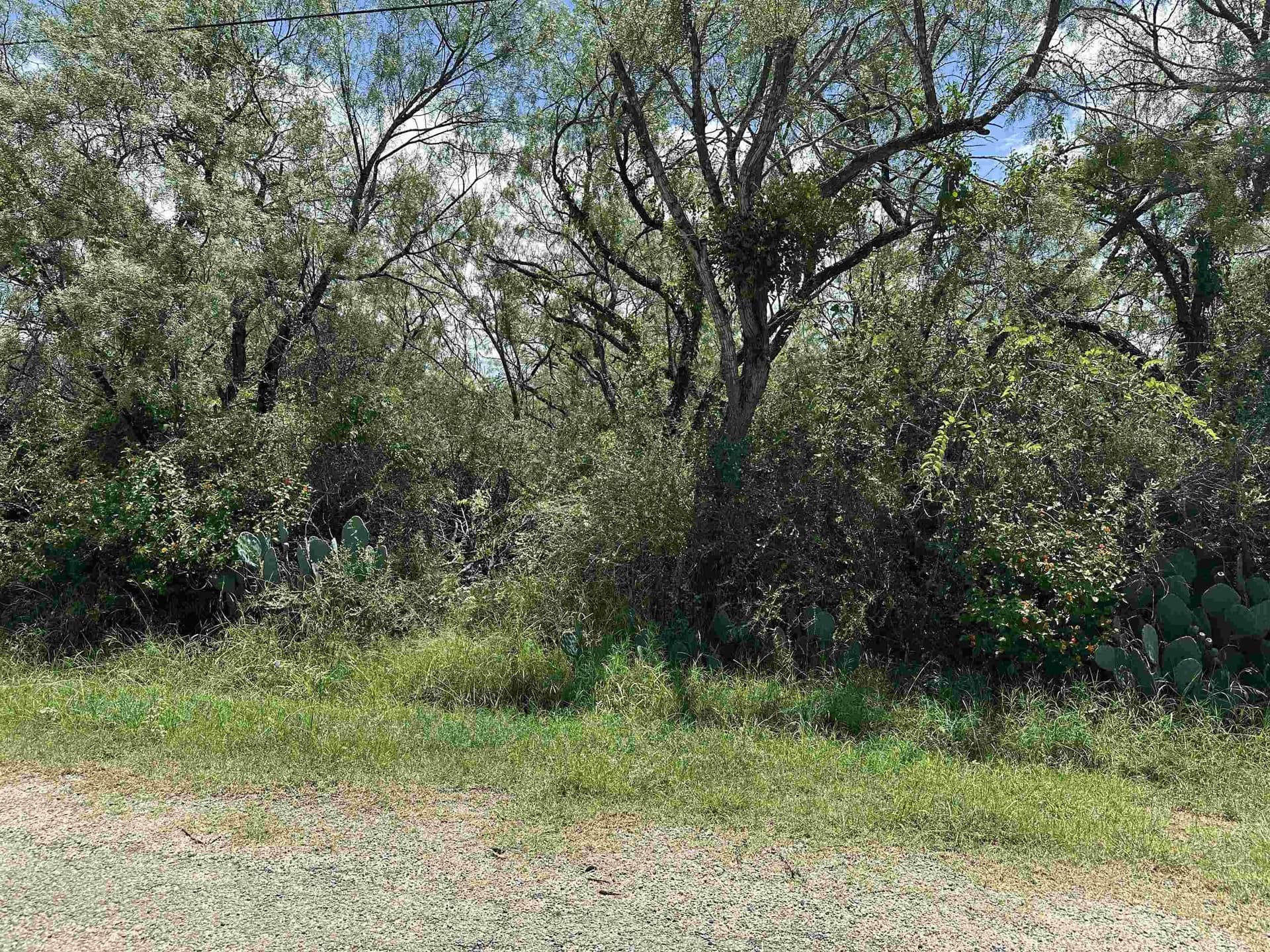 0.12 acres in Burnet County gallery image 3