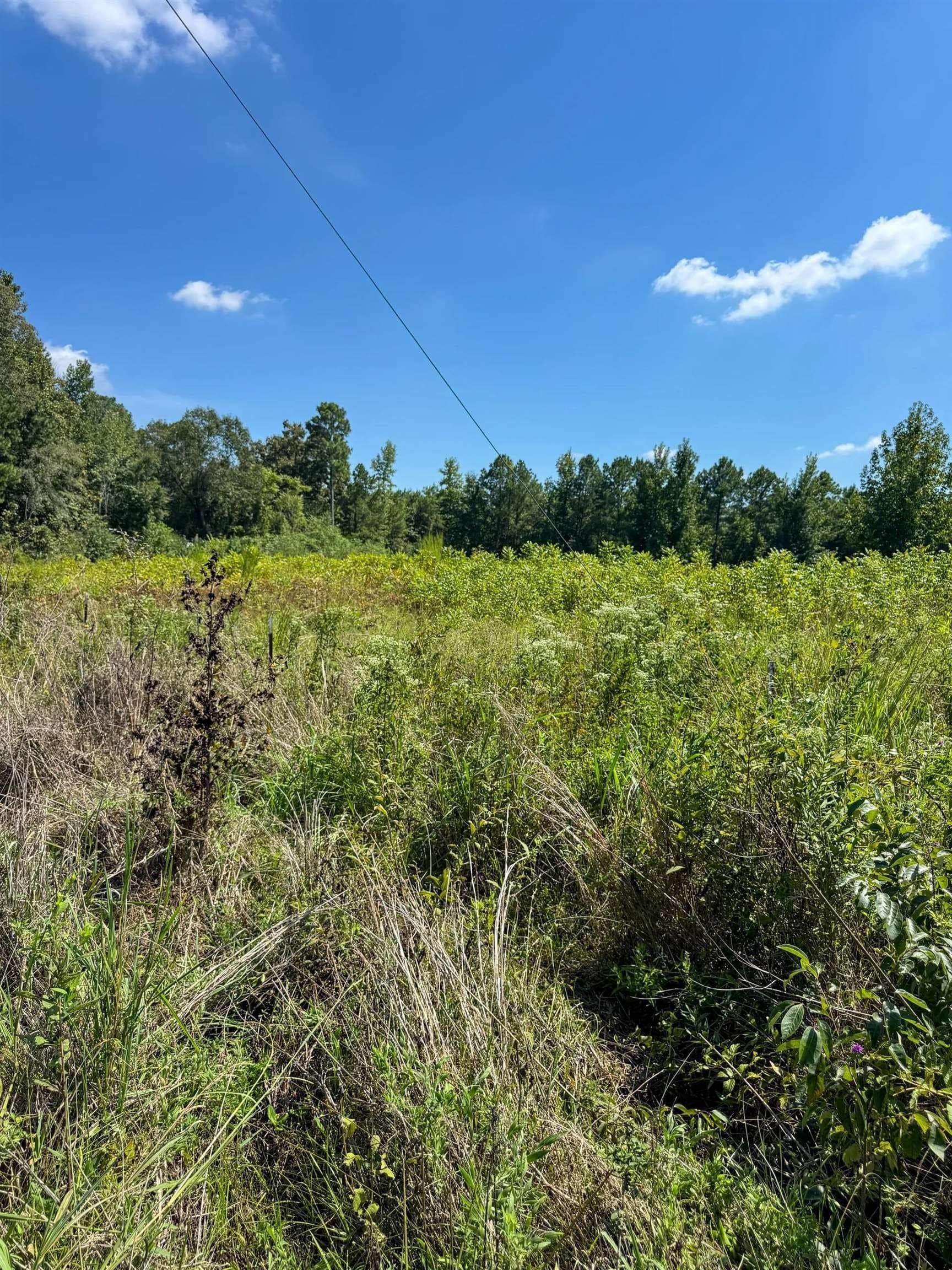 6.62 acres in Marion County - photo 20