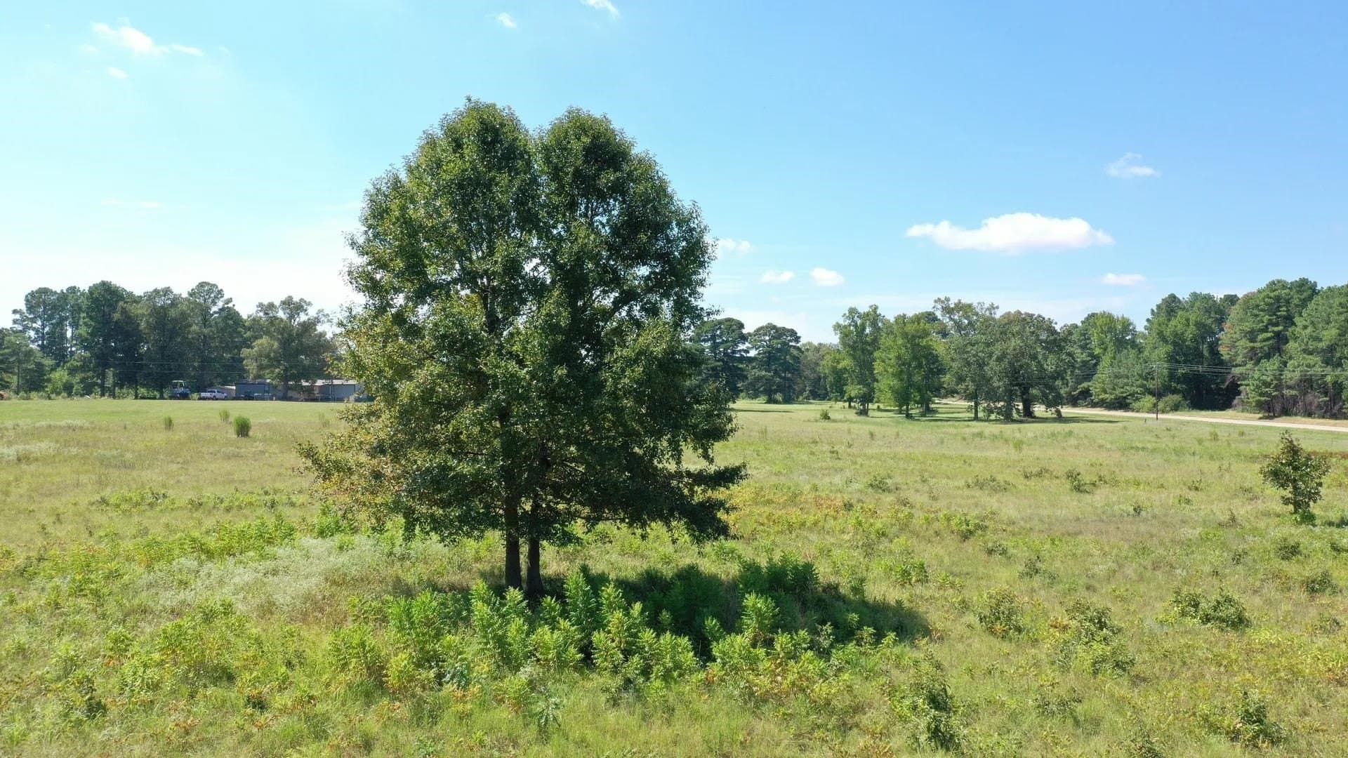 6.62 acres in Marion County - photo 15