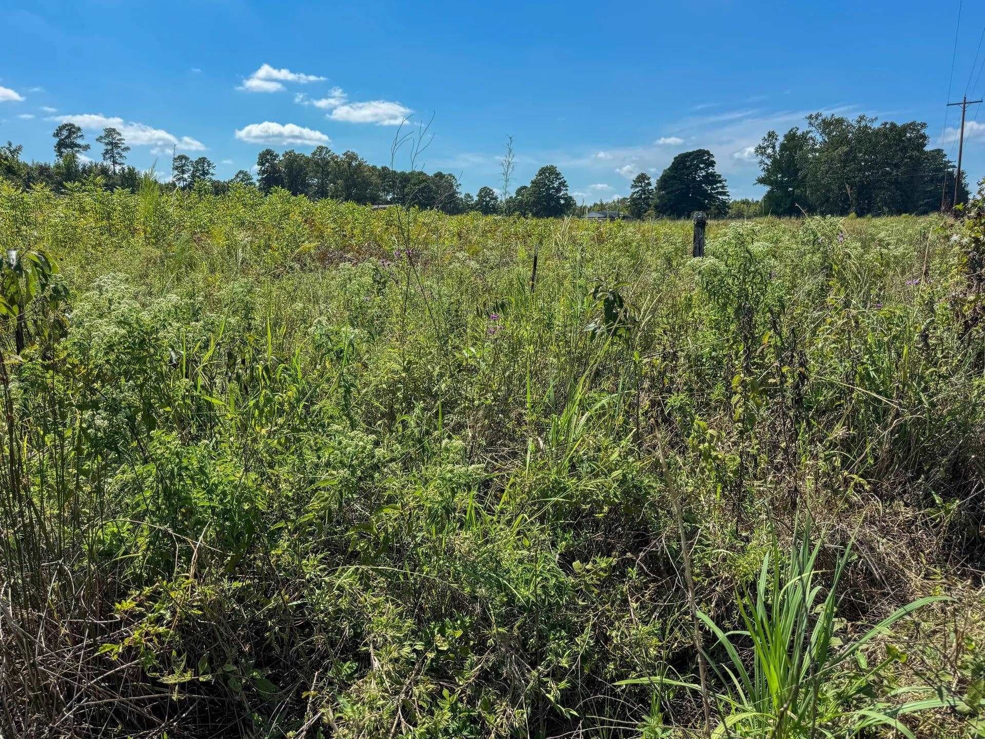 6.62 acres in Marion County - photo 21