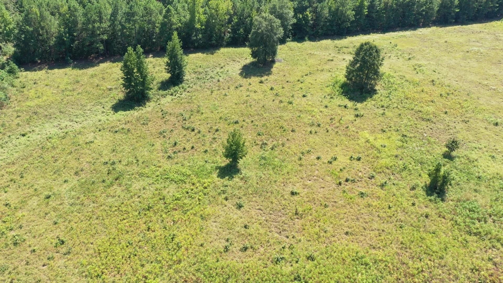 6.62 acres in Marion County - photo 4