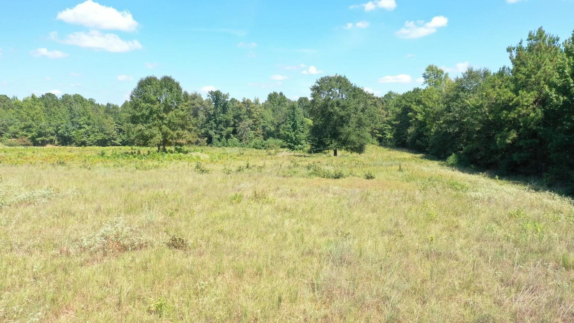 6.62 acres in Marion County - photo 12