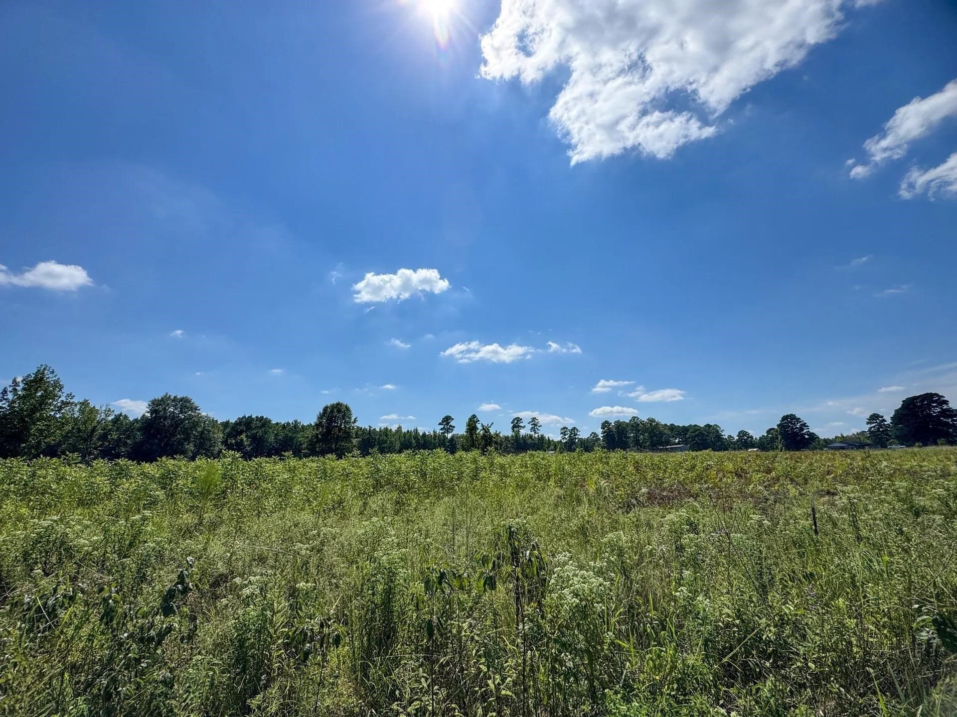 6.62 acres in Marion County - photo 23