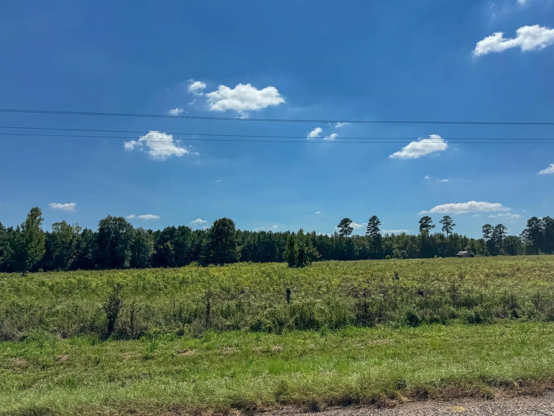 6.62 acres in Marion County - photo 25