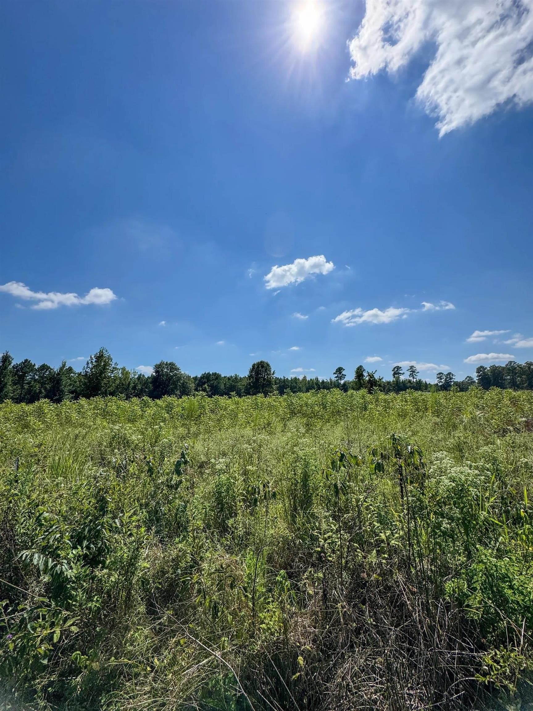 6.62 acres in Marion County - photo 22