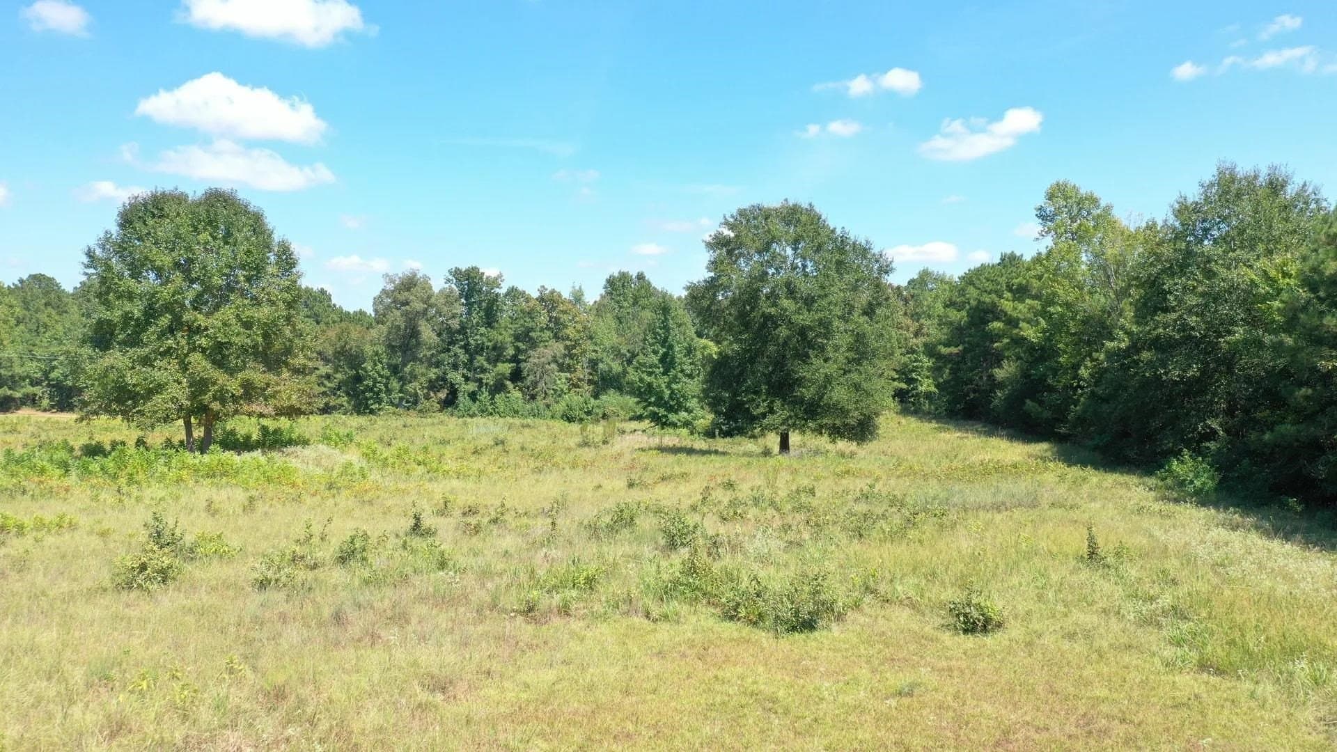 6.62 acres in Marion County - photo 13