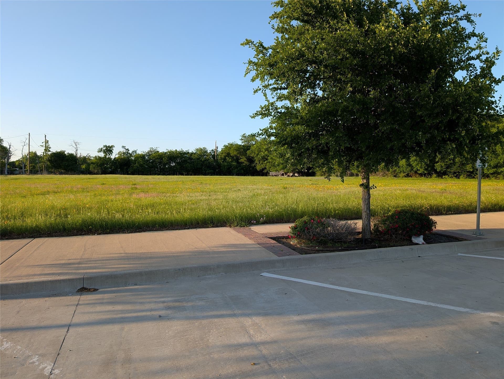 1.42 acres in Parker County gallery image 3