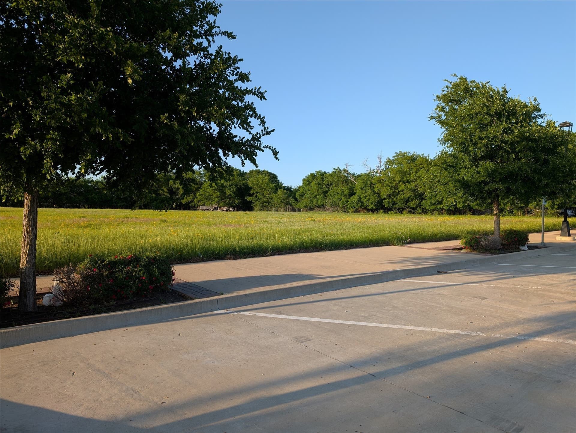 1.42 acres in Parker County gallery image 4
