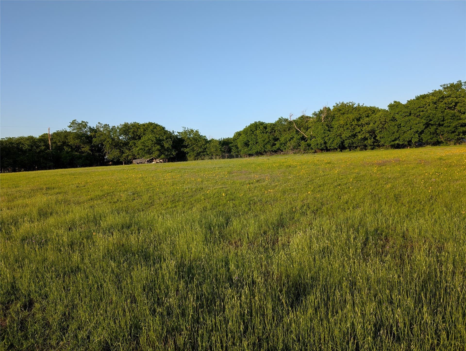 1.42 acres in Parker County featured view