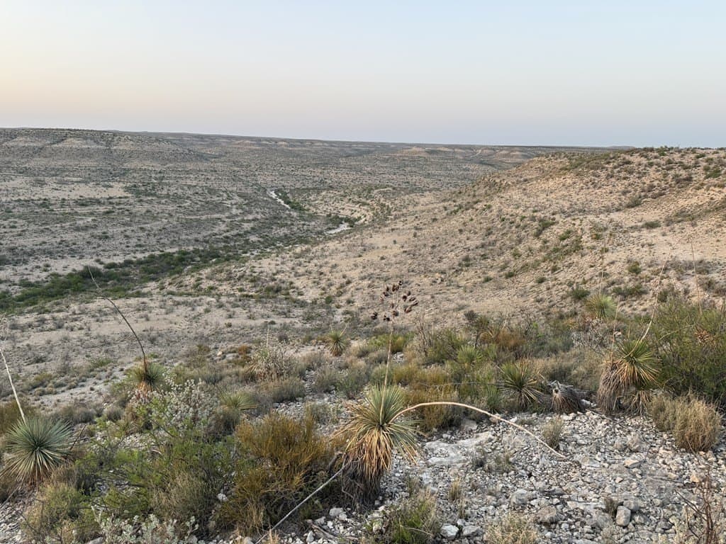 202 acres in Terrell County - photo 15