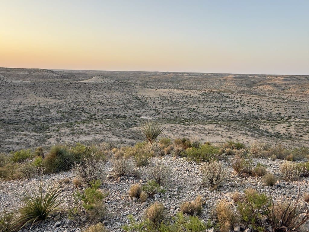 202 acres in Terrell County - photo 14