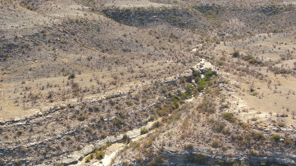 202 acres in Terrell County - photo 9