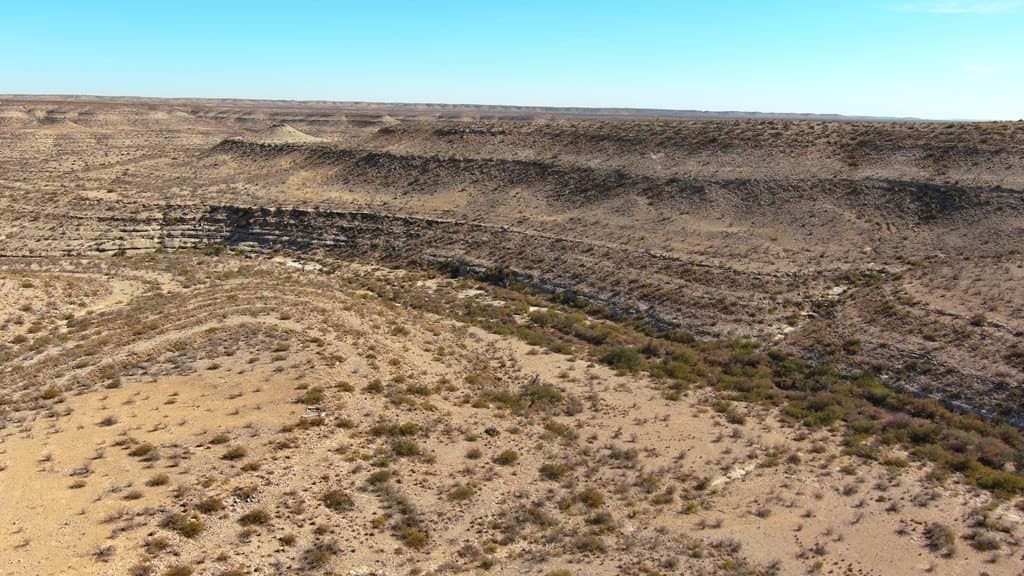202 acres in Terrell County - photo 7