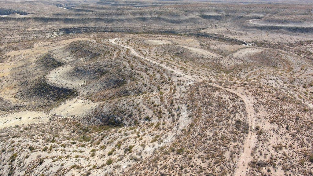 202 acres in Terrell County featured view
