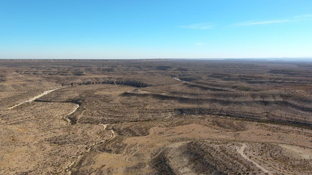 202 acres in Terrell County gallery image 4