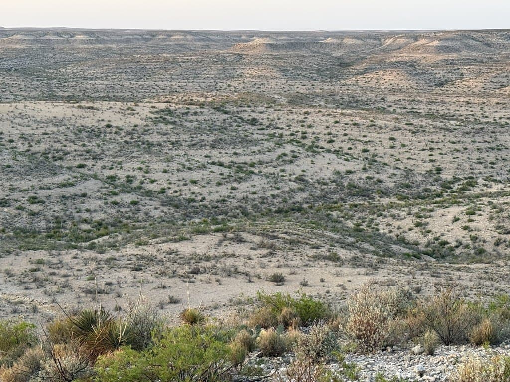 202 acres in Terrell County - photo 12