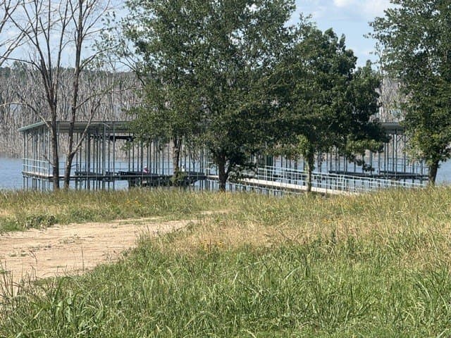 1.01 acres in Fannin County - photo 6