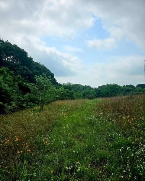 19.3 acres in Hill County gallery image 3