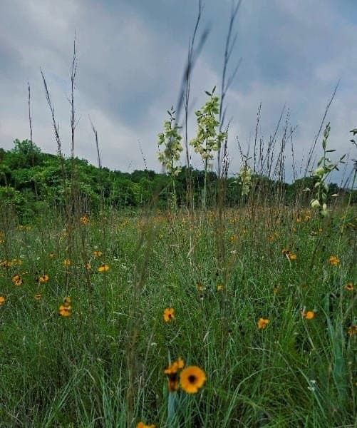 19.3 acres in Hill County featured view