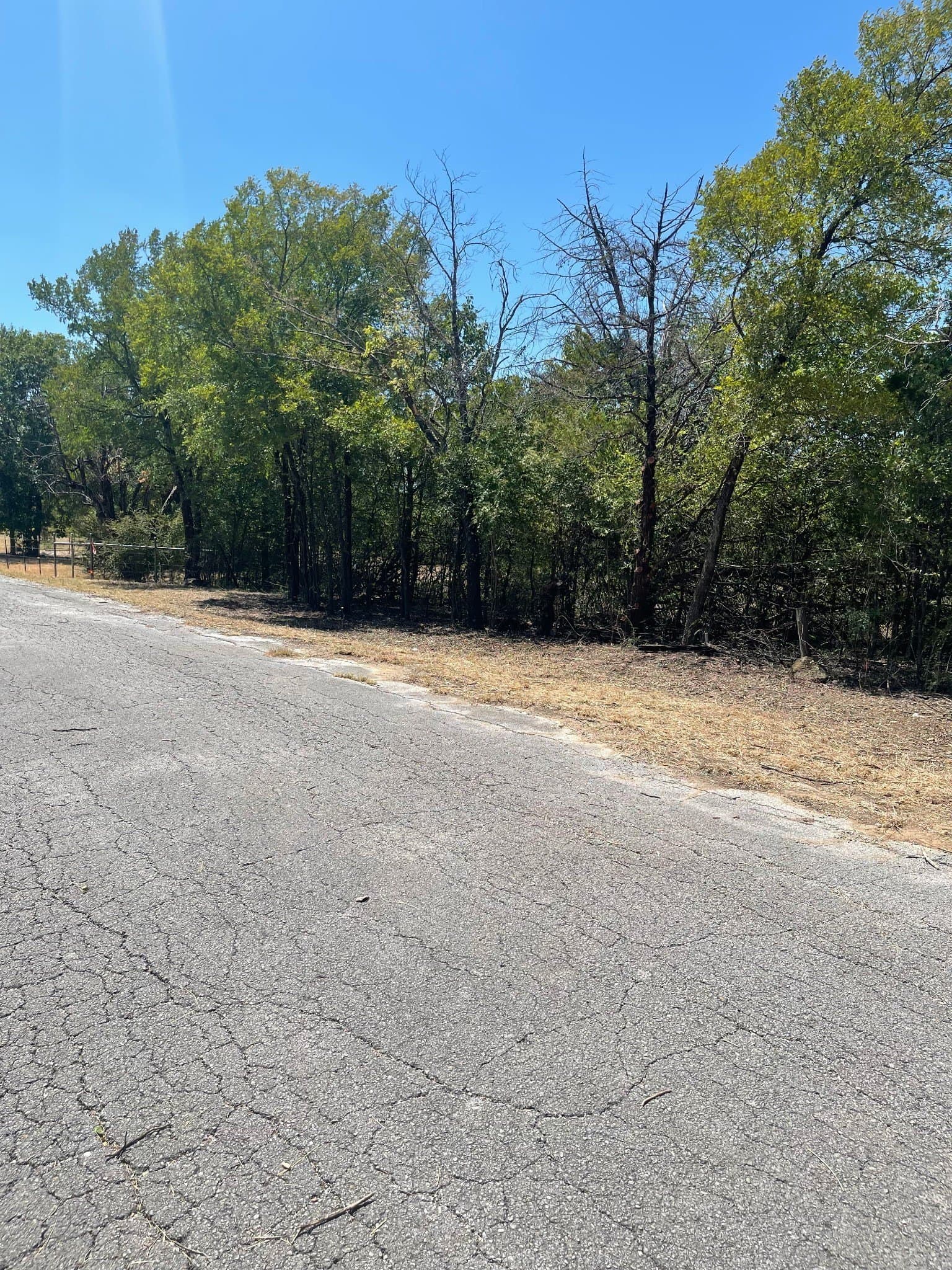 8.82 acres in Dallas County - photo 13