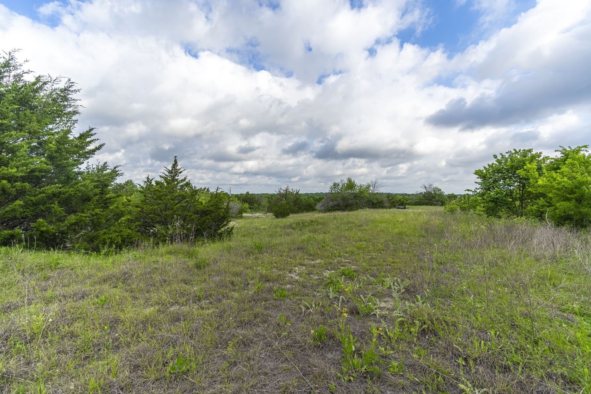 8.82 acres in Dallas County - photo 5