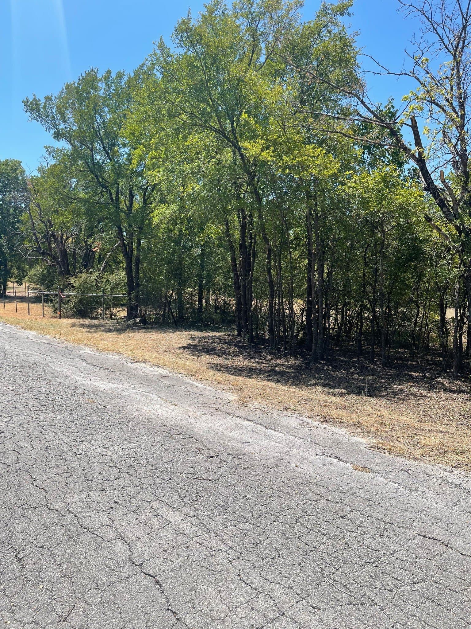 8.82 acres in Dallas County - photo 12