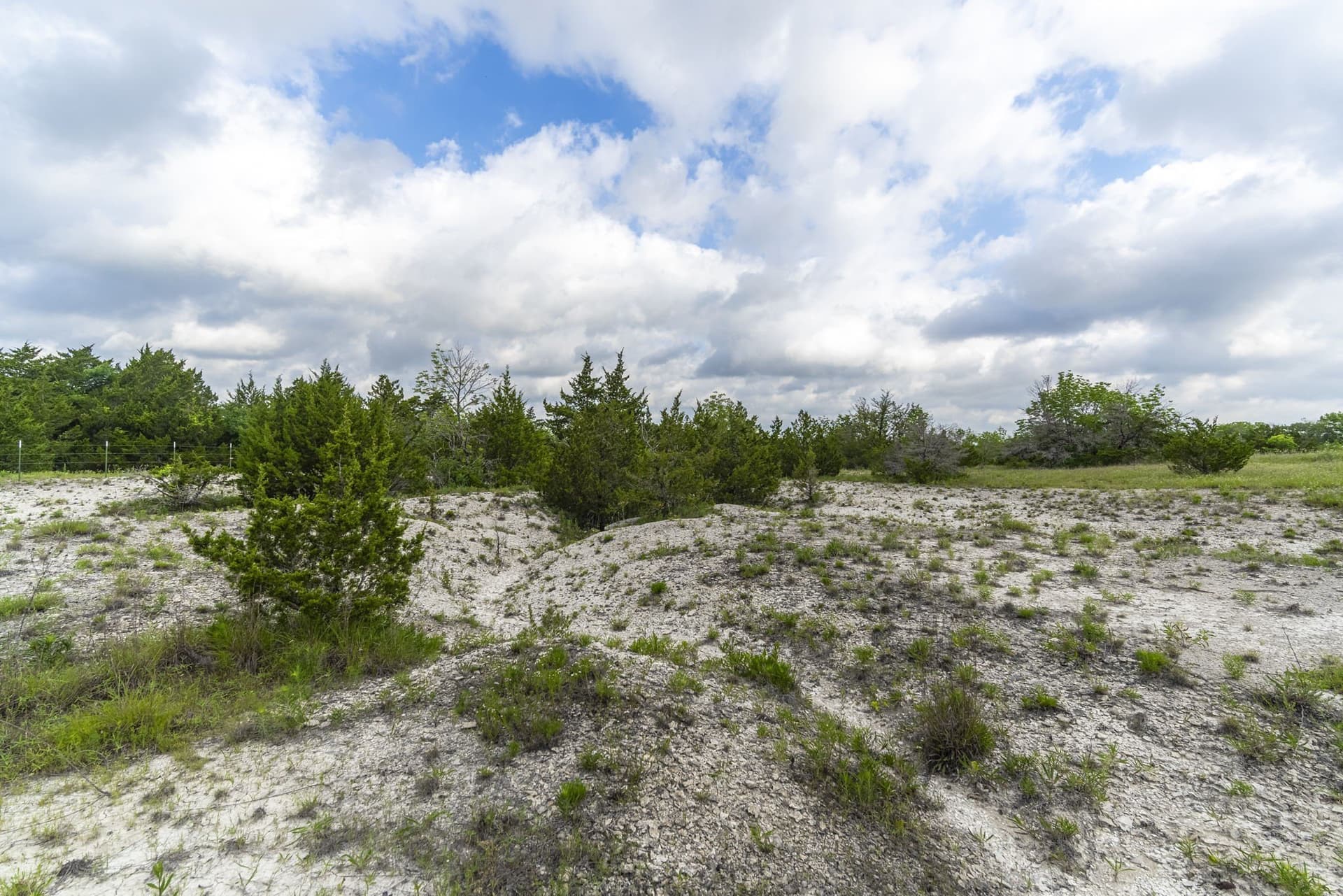 8.82 acres in Dallas County - photo 7