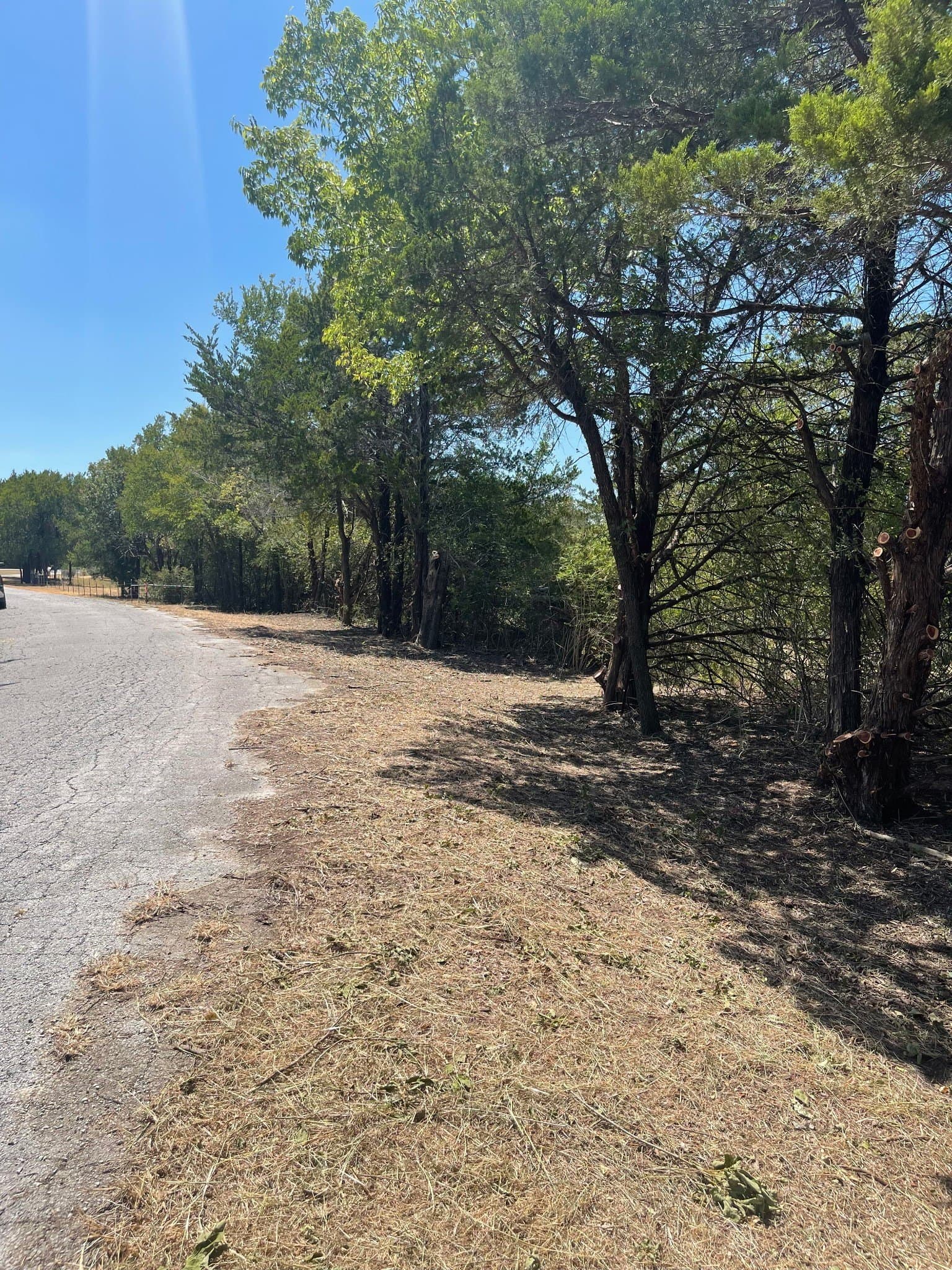 8.82 acres in Dallas County - photo 3