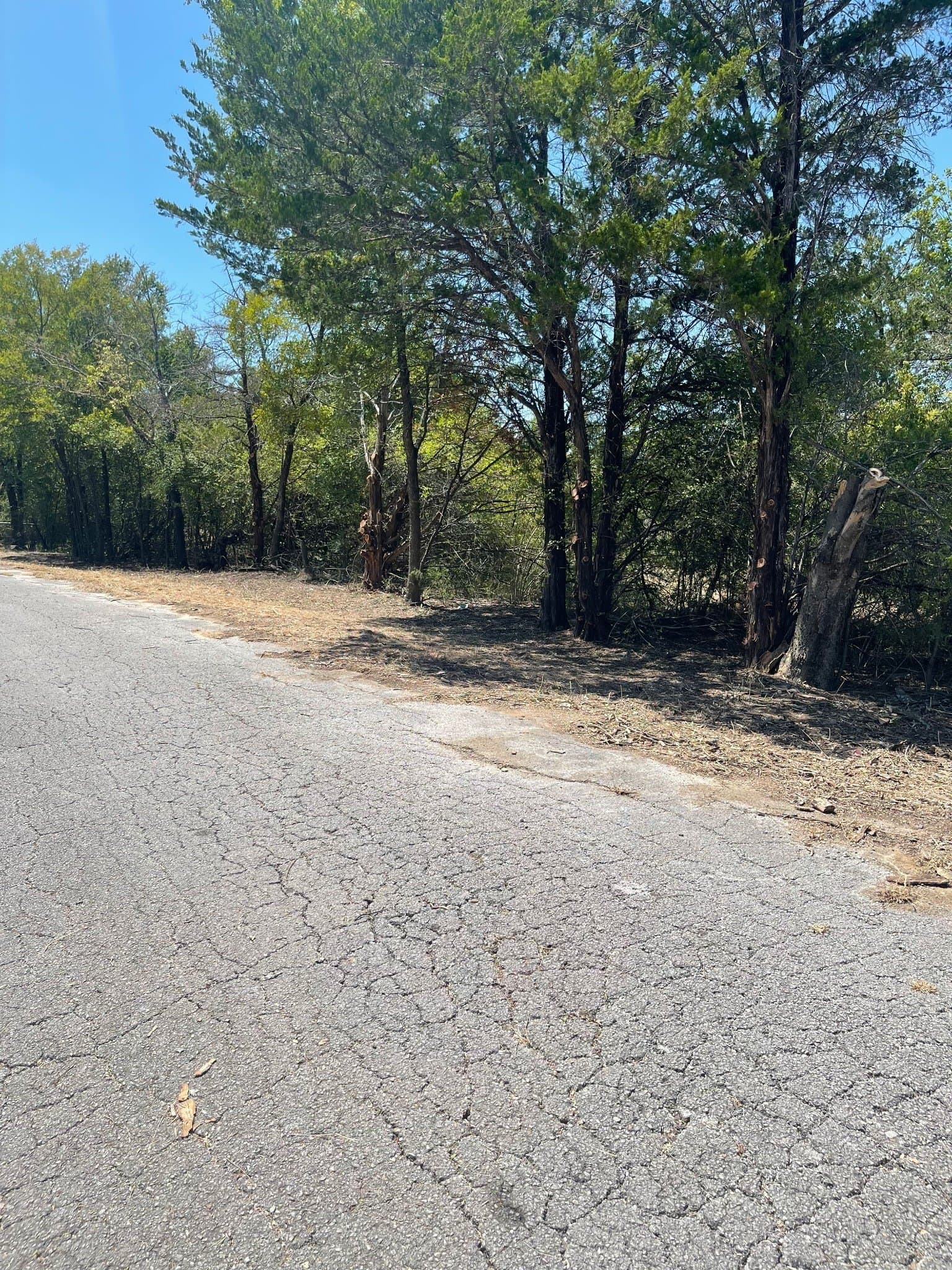 8.82 acres in Dallas County - photo 14