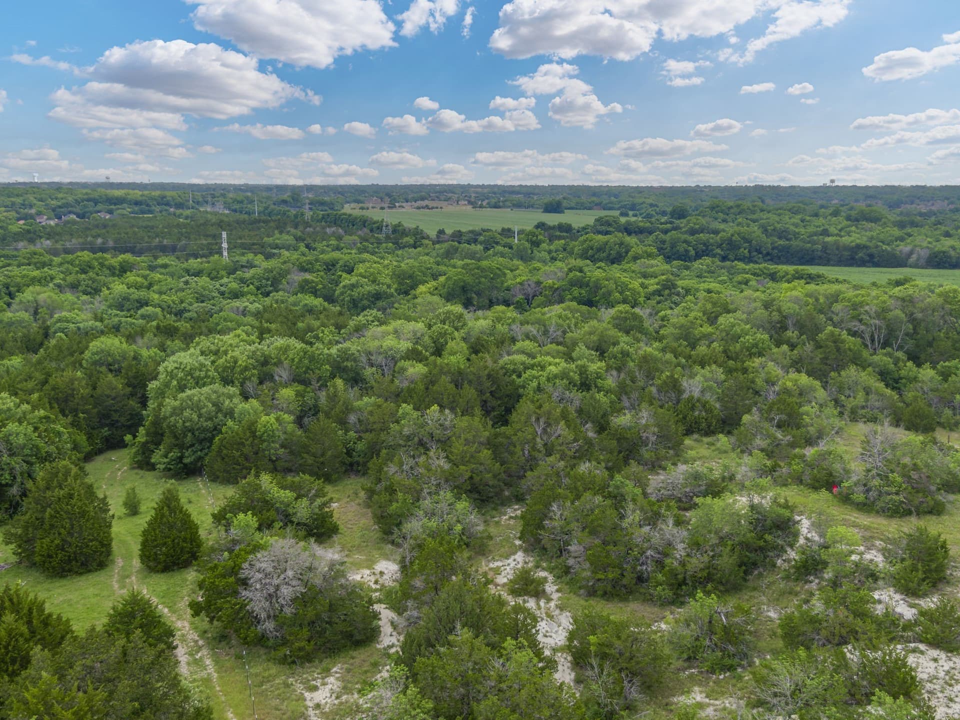8.82 acres in Dallas County - photo 22